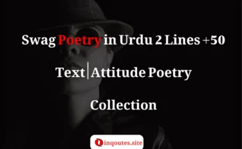 Swag Poetry in Urdu 2 Lines Text – Attitude Shayari Collection