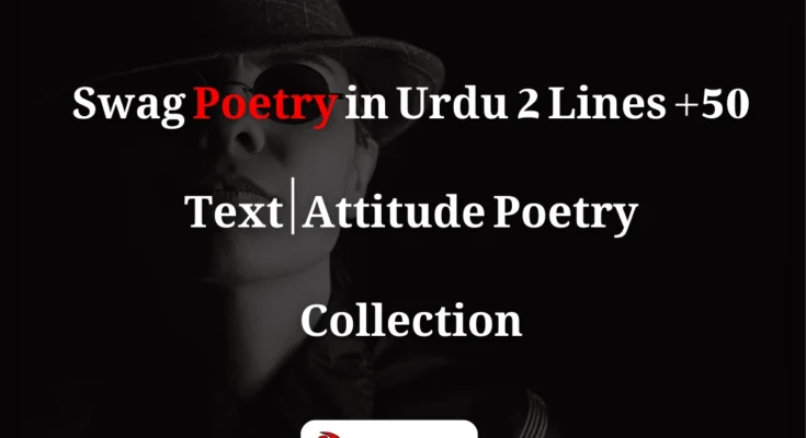Swag Poetry in Urdu 2 Lines Text – Attitude Shayari Collection