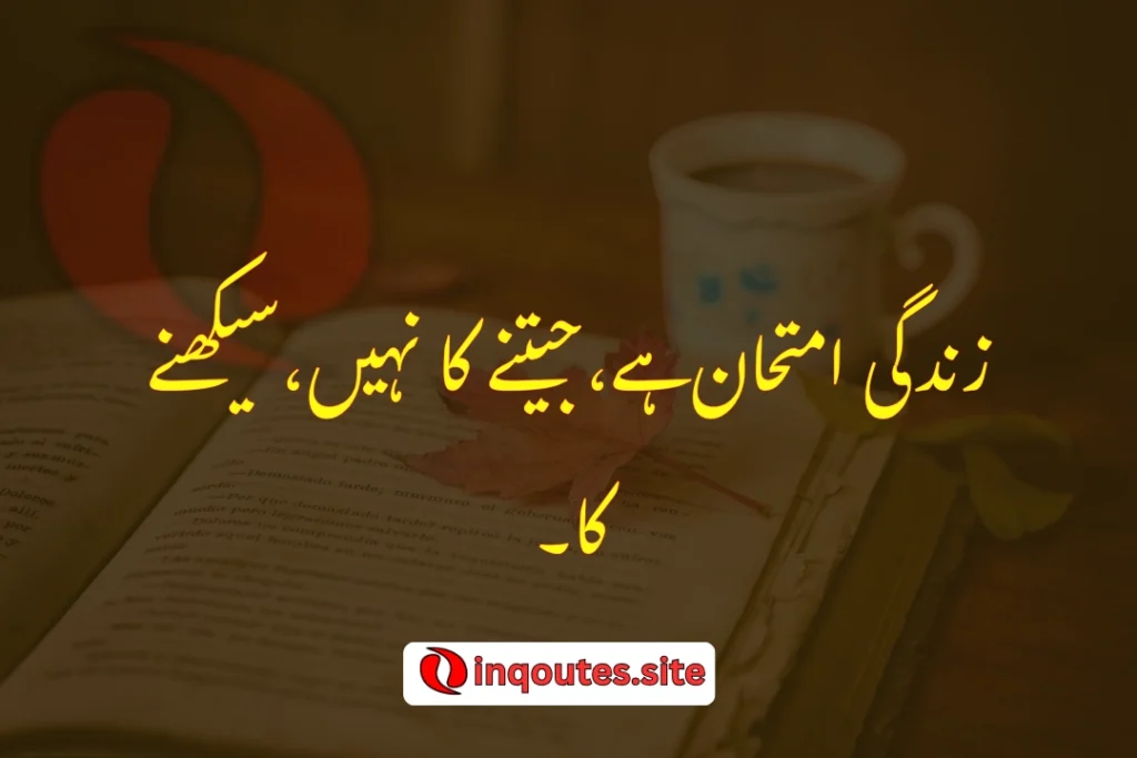 Short Urdu Quotes on Life Lessons