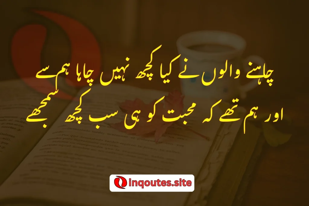Sad Urdu poetry in two lines from Jaun Elia, styled for social sharing