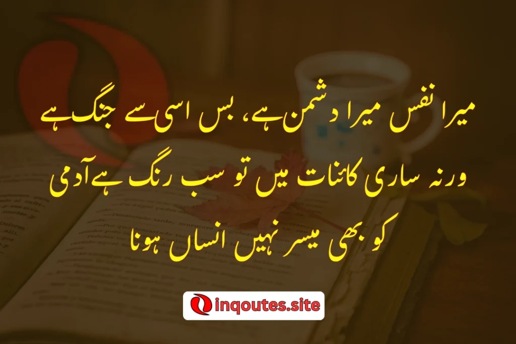 Whirling dervish illustration with deep Sufi poetry verse in Urdu and Roman text