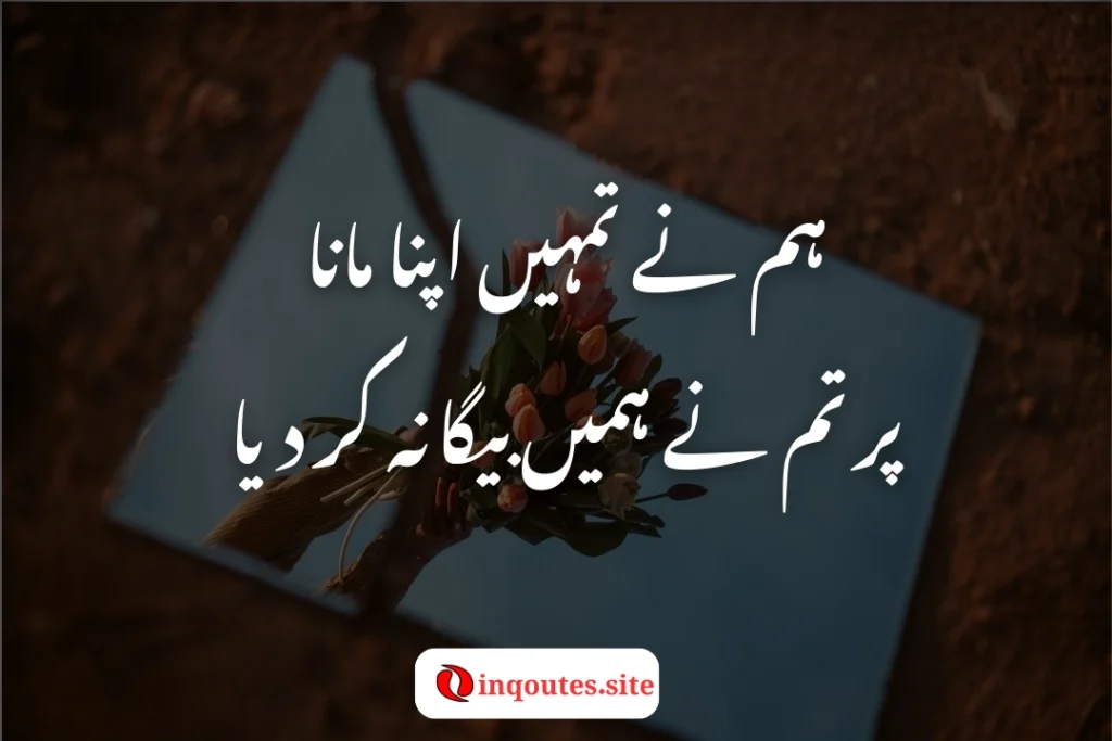 Shadow of a person alone with Urdu poetry written