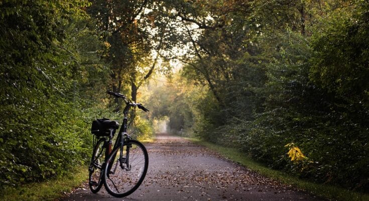 Child cycling safely on a bike path in a green park.