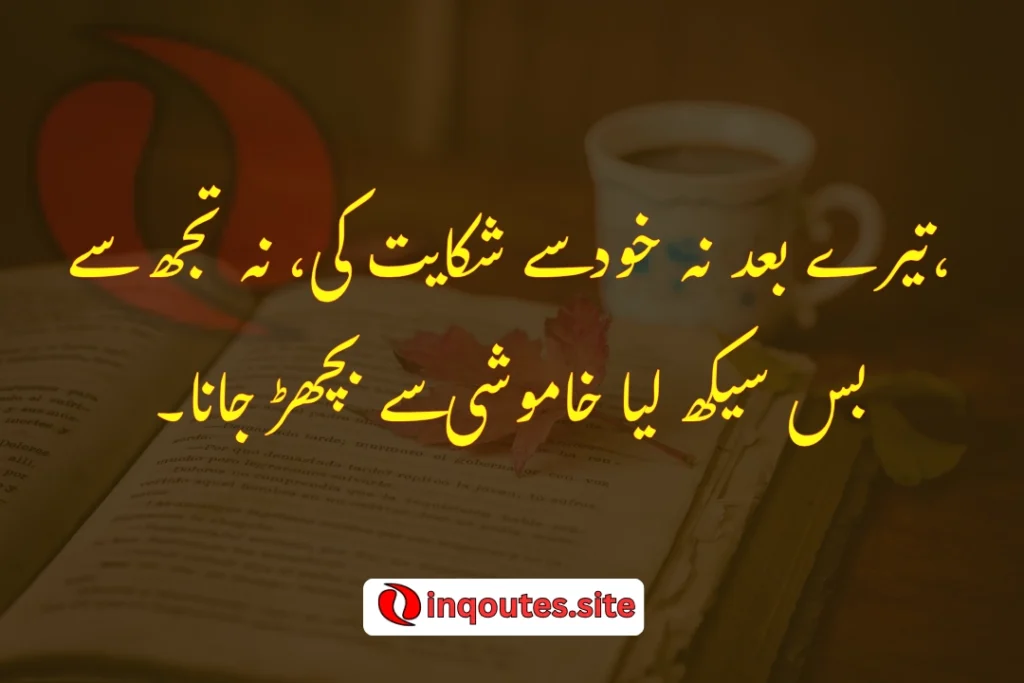 Silhouette of girl reading romantic Urdu poetry by the window