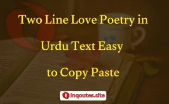 Romantic two-line Urdu poetry written on a diary with rose petals