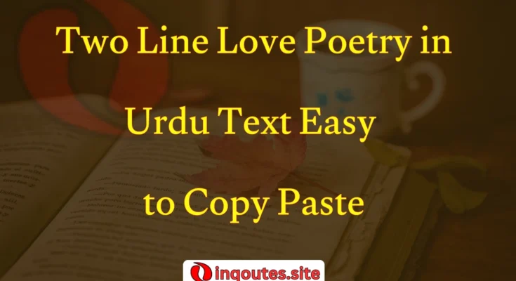 Romantic two-line Urdu poetry written on a diary with rose petals