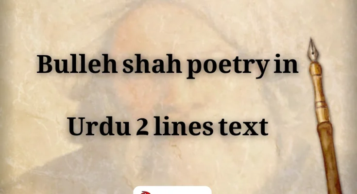 Bulleh Shah sitting in deep thought – Sufi poetry expression