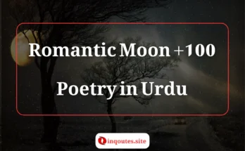 moon poetry in urdu romantic chand shayari