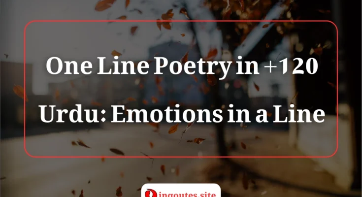 Best one line poetry in Urdu for status