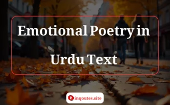 the saddest poetry with beautiful background