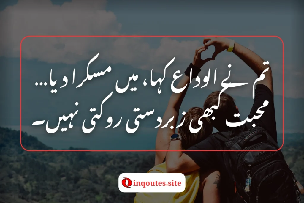 The Best Alvida Lines