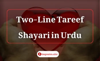 2-line Tareef Shayari in Urdu expressing praise and appreciation